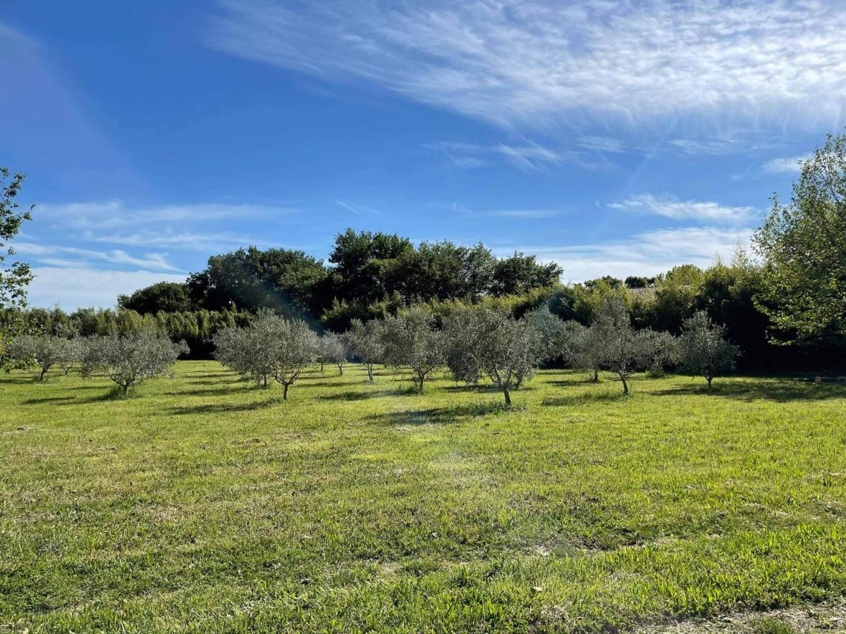 Appartement De Charme Sud Luberon Classe 4 Etoiles Puyvert المظهر الخارجي الصورة